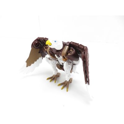 Transformers WFC: Kingdom Skywarp